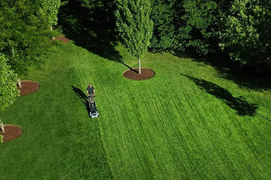 best corded lawn mower